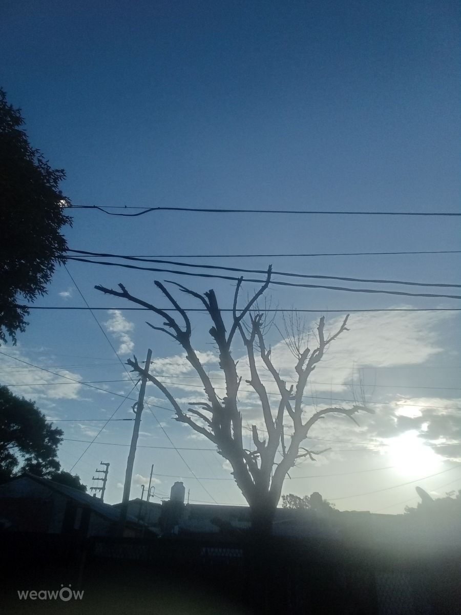 Weather Photos in Grand Bourg. Weather forecasts with beautiful photos by GabyOdre