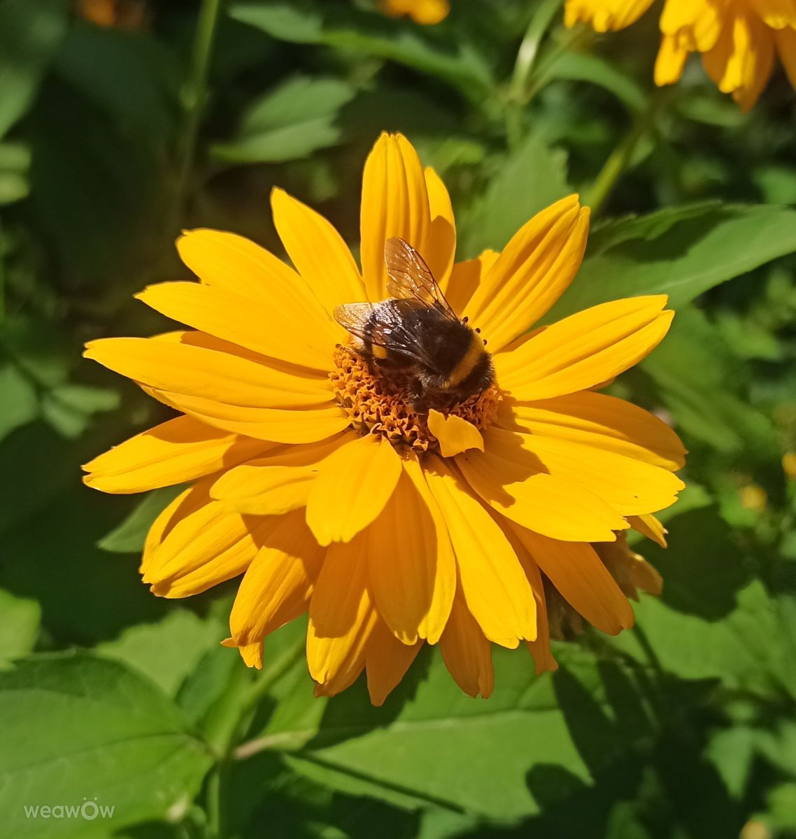 Weather Photos in Kharkiv. Weather forecasts with beautiful photos by ВитаВика