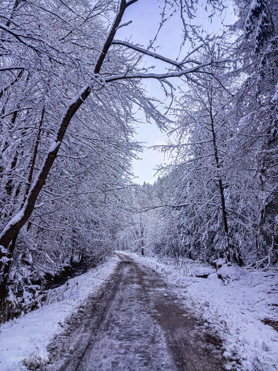 Weather Photos in Slovakia. Weather forecasts with beautiful photos by _richardd