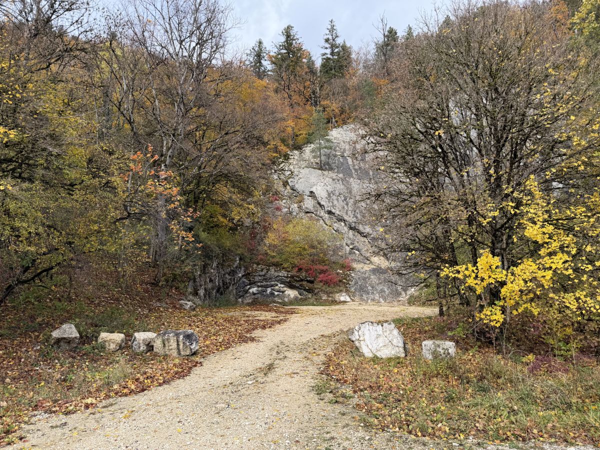 Photographe SwissEloi, Photos météo à Sonceboz - Weawow