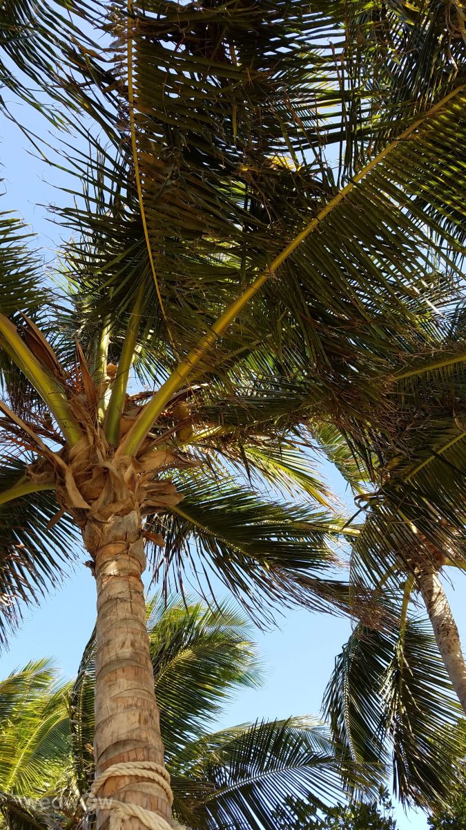 Weather Photos in Aruba. Weather forecasts with beautiful photos by Mell3518