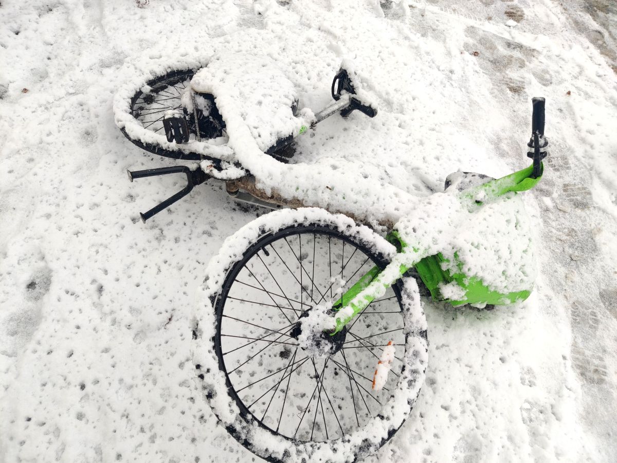 Фотограф Zorrra, Фотографии Погоды в Neukölln - Weawow