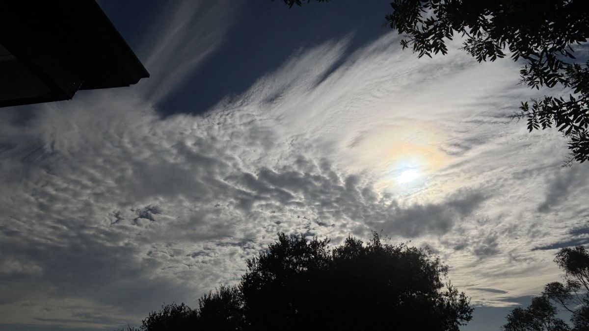 Photos météo à Monde. Prévisions météo avec de superbes photos de meloncaliflower