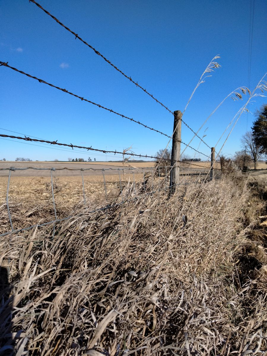 Weather Photos in Parnell. Weather forecasts with beautiful photos by Kate72
