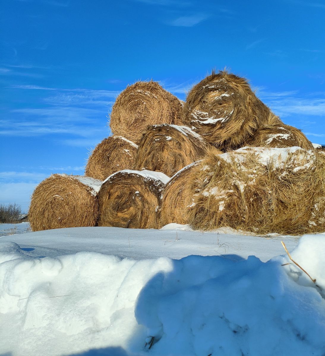 Weather Photos in Novosibirskaya Oblast'. Weather forecasts with beautiful photos by CherryOlya