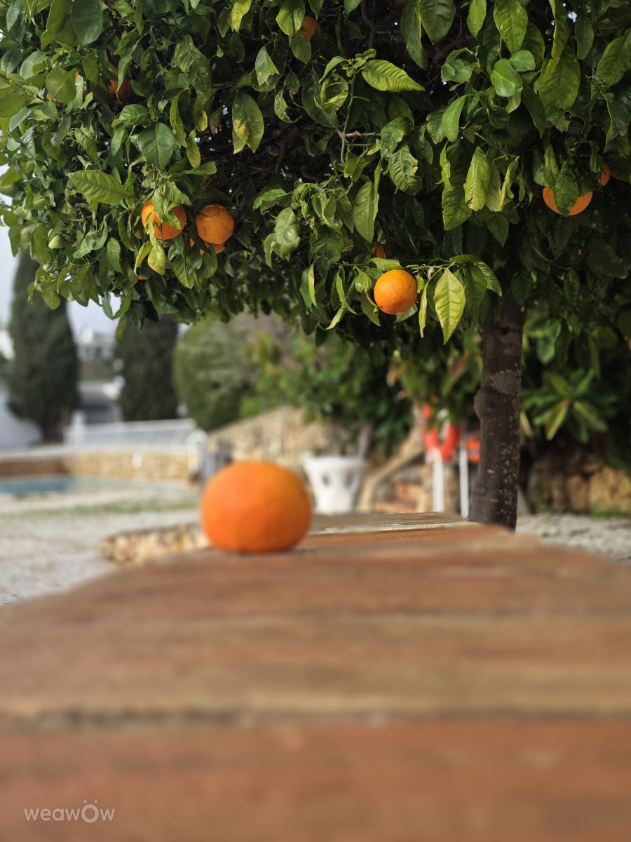 Weather forecasts with beautiful photos by Brtd