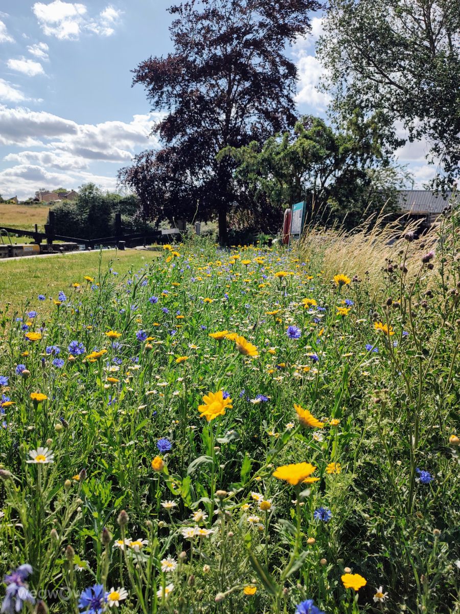 Weather Photos in Yarwell Mill Country Park. Weather forecasts with beautiful photos by kns666