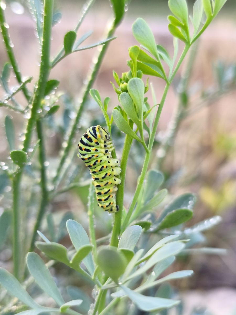 Fotos do tempo em A Estrada. Previsões do tempo com lindas fotos de BIKOTRAVEL