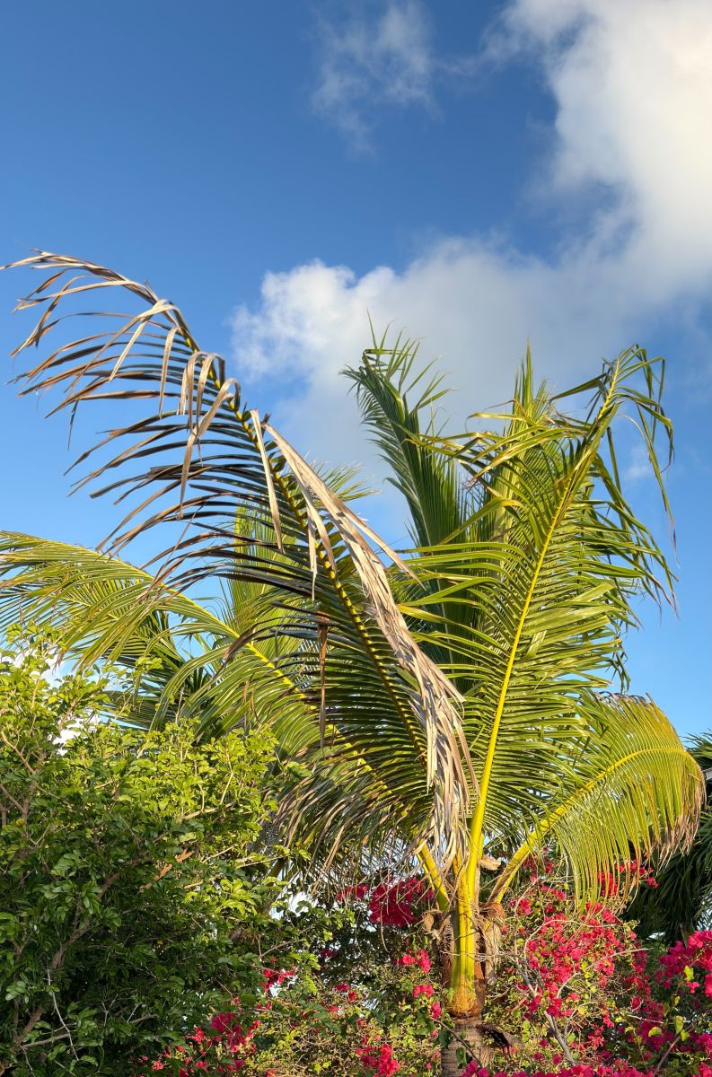 Weather Photos in Turks and Caicos Islands. Weather forecasts with beautiful photos by Roberto Padilla