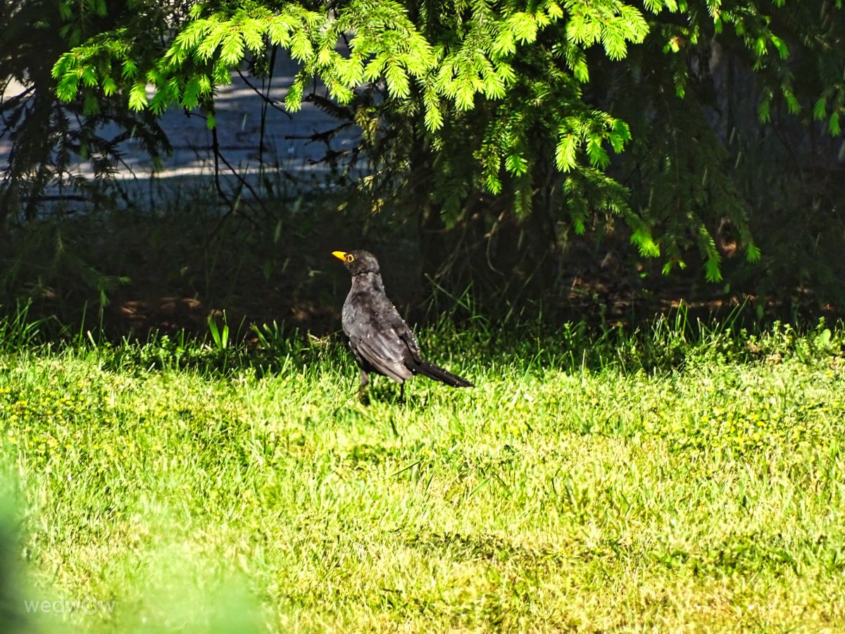Фотографии Погоды в Зелёнка. Прогнозы погоды с чудесными фотографиями, сделанными VersusPoint