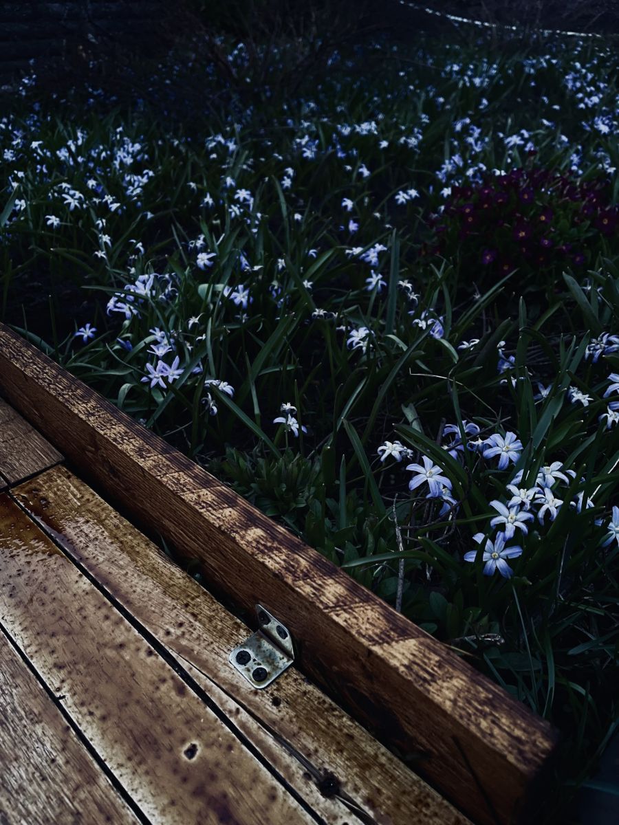 Weather Photos in Kirov Oblast. Weather forecasts with beautiful photos by WilliamsEl