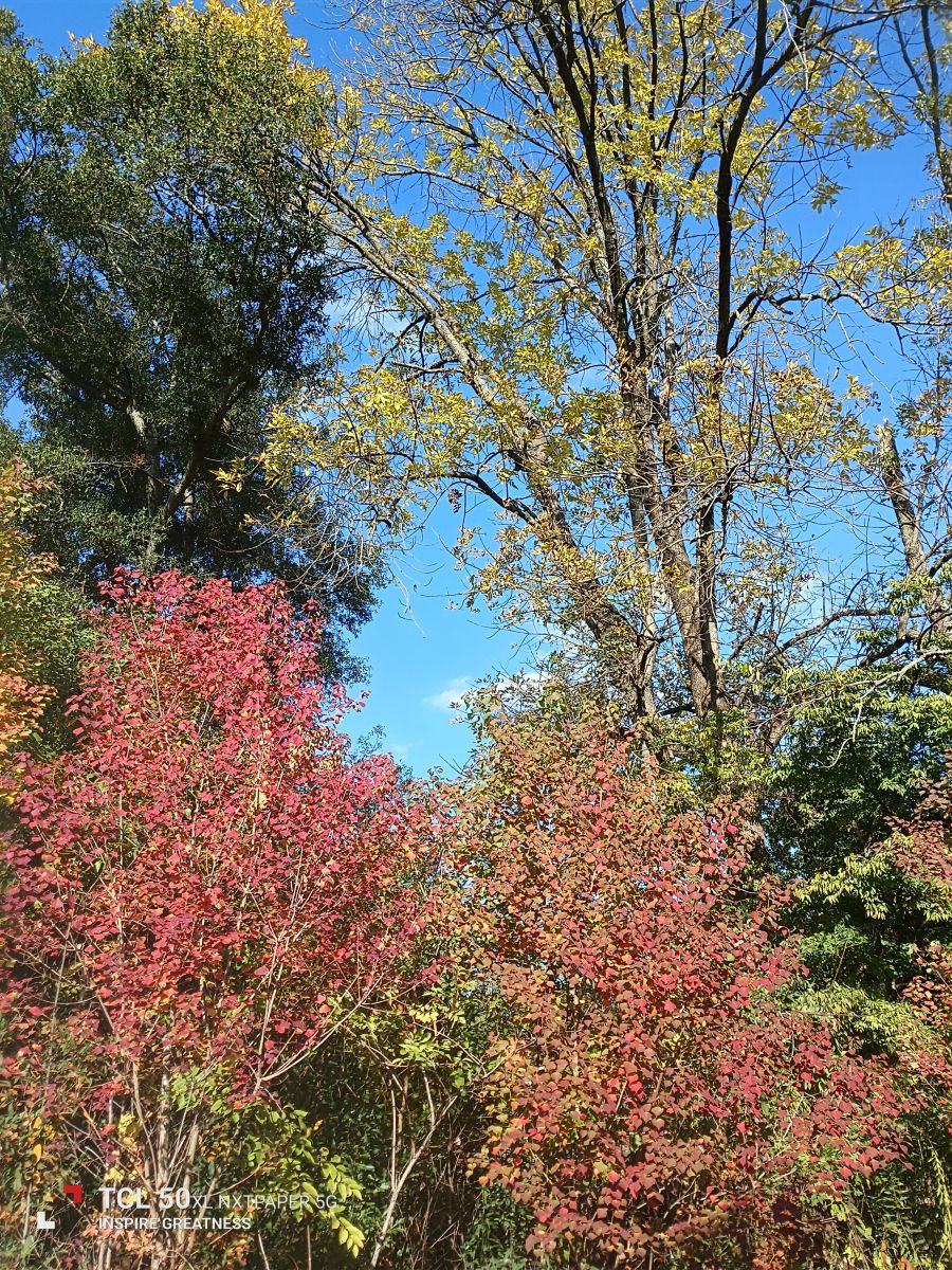 密西西比州的天气照片. 天气预报，带MilersLafayetteCookJr精美的照片