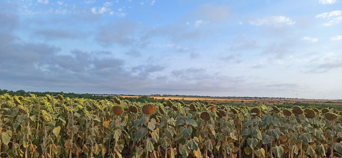 Фотографии Погоды в Dobrich. Прогнозы погоды с чудесными фотографиями, сделанными maxivanovbaba