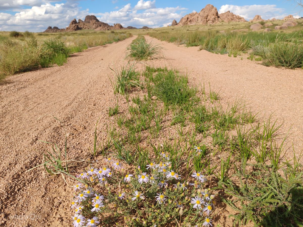 Weather Photos in Mongolia. Weather forecasts with beautiful photos by max56-