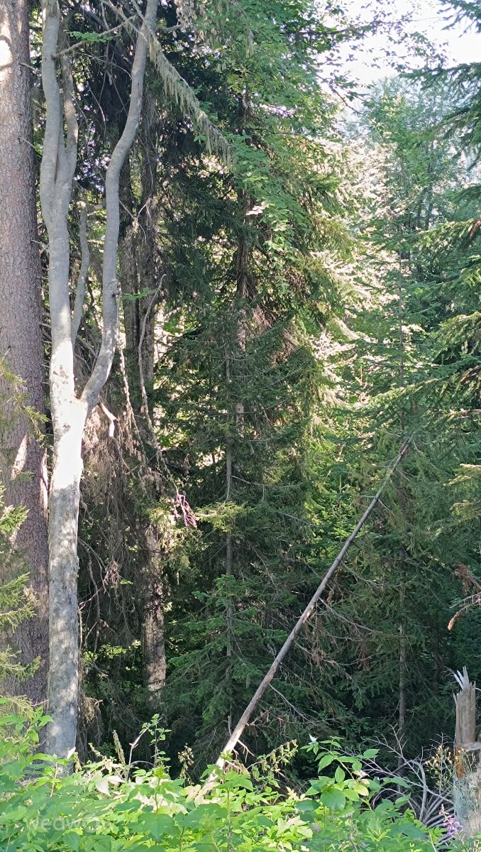 Fotos do tempo em Geórgia. Previsões do tempo com lindas fotos de Mike Kobuladze