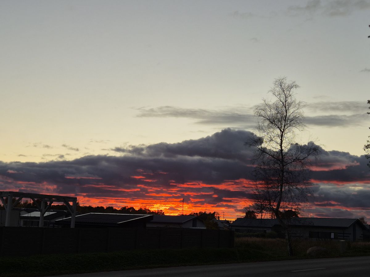 Fotos sobre el clima en Kretinga. Pronósticos del tiempo con hermosas fotos de Jūratė