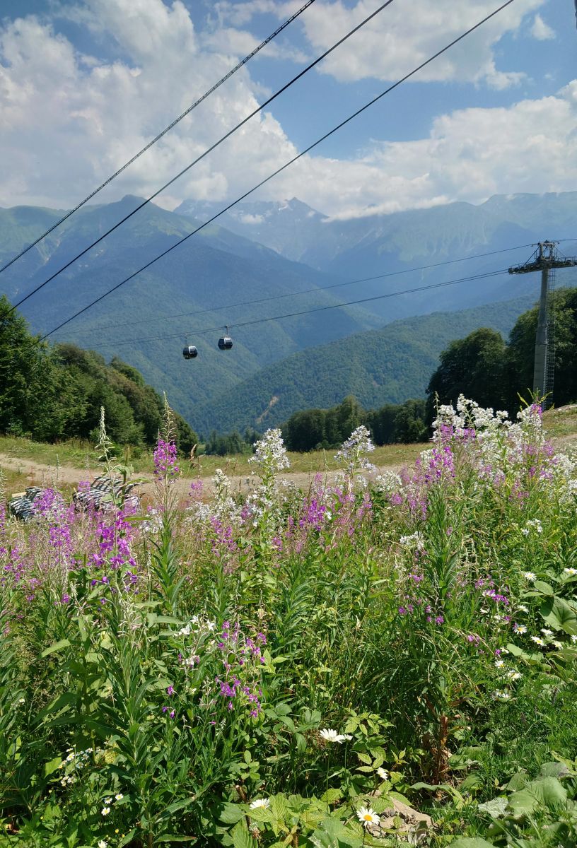 Photographe МарияЕкб, Photos météo à Roza Khutor - Weawow