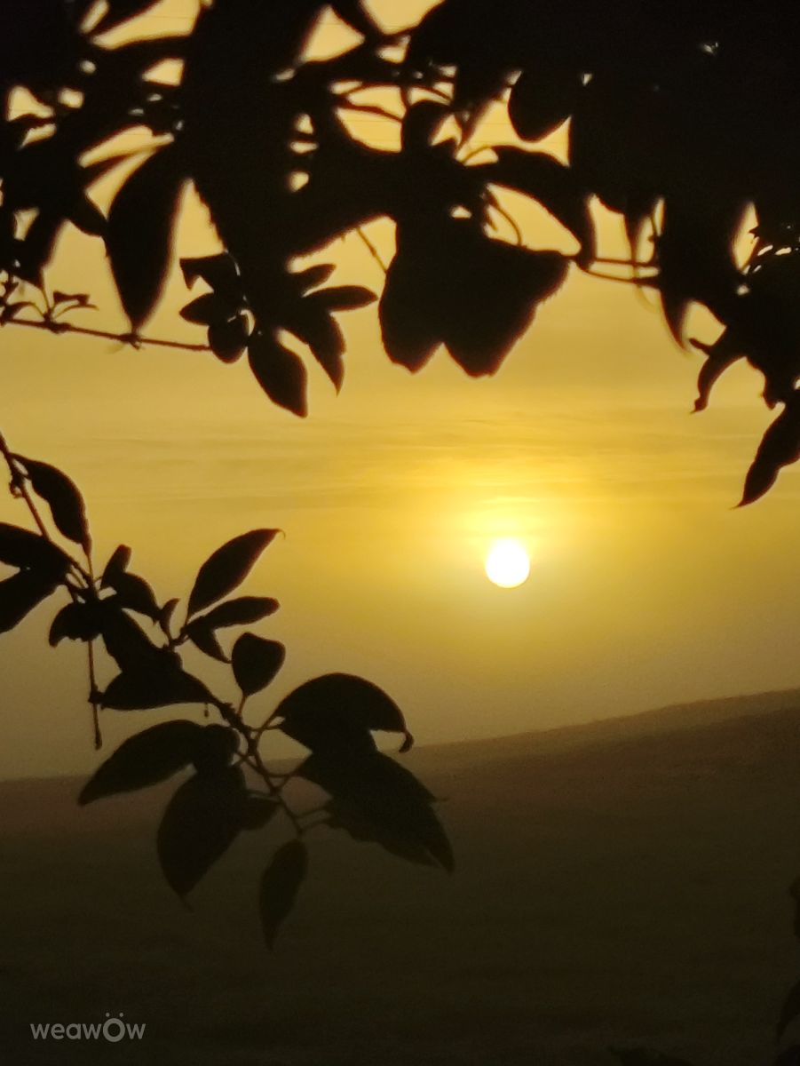 Weather Photos in Allersberg. Weather forecasts with beautiful photos by Brtd