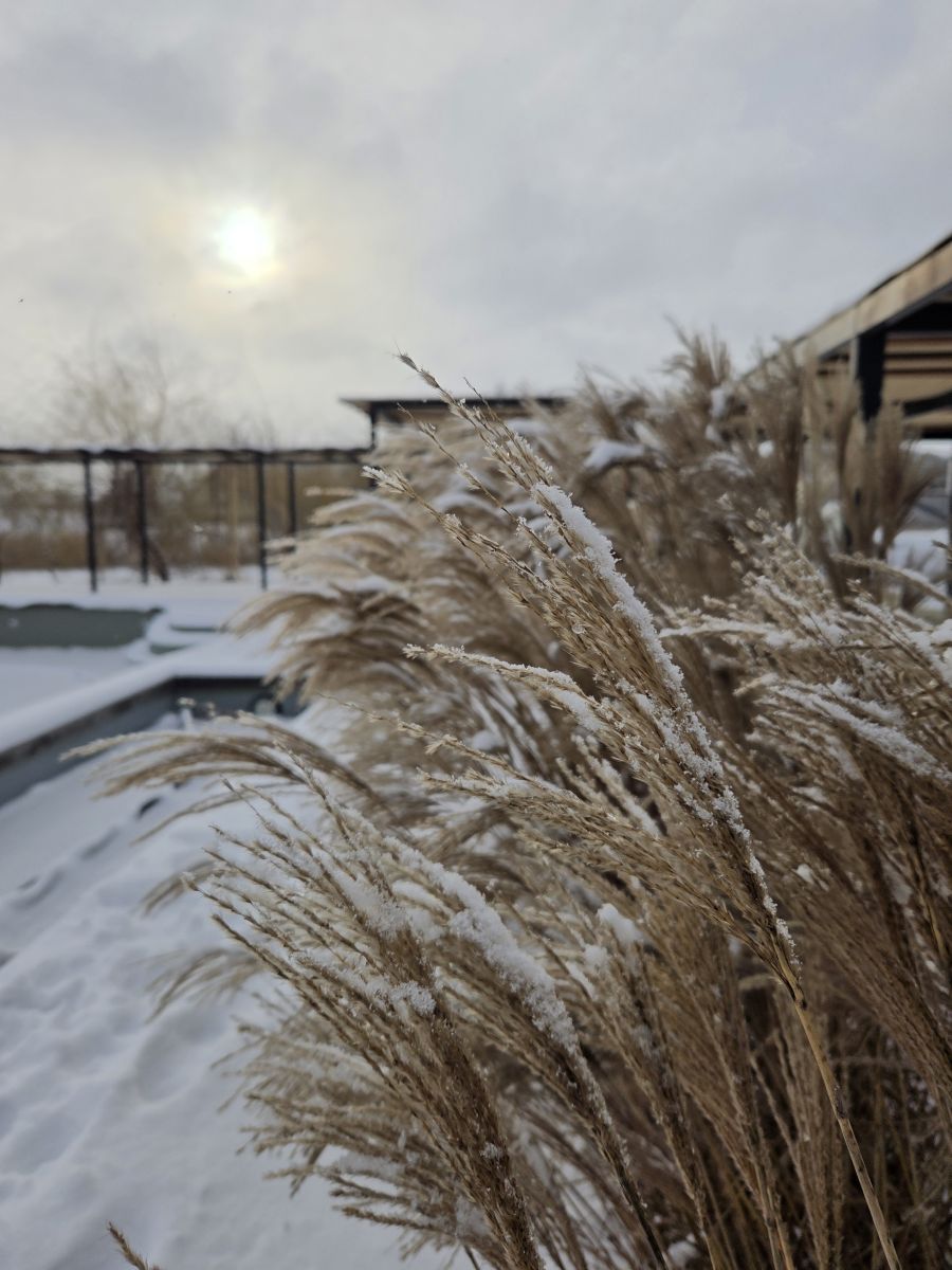 Weather Photos in Dnipropetrovsk. Weather forecasts with beautiful photos by Катя Пулинец