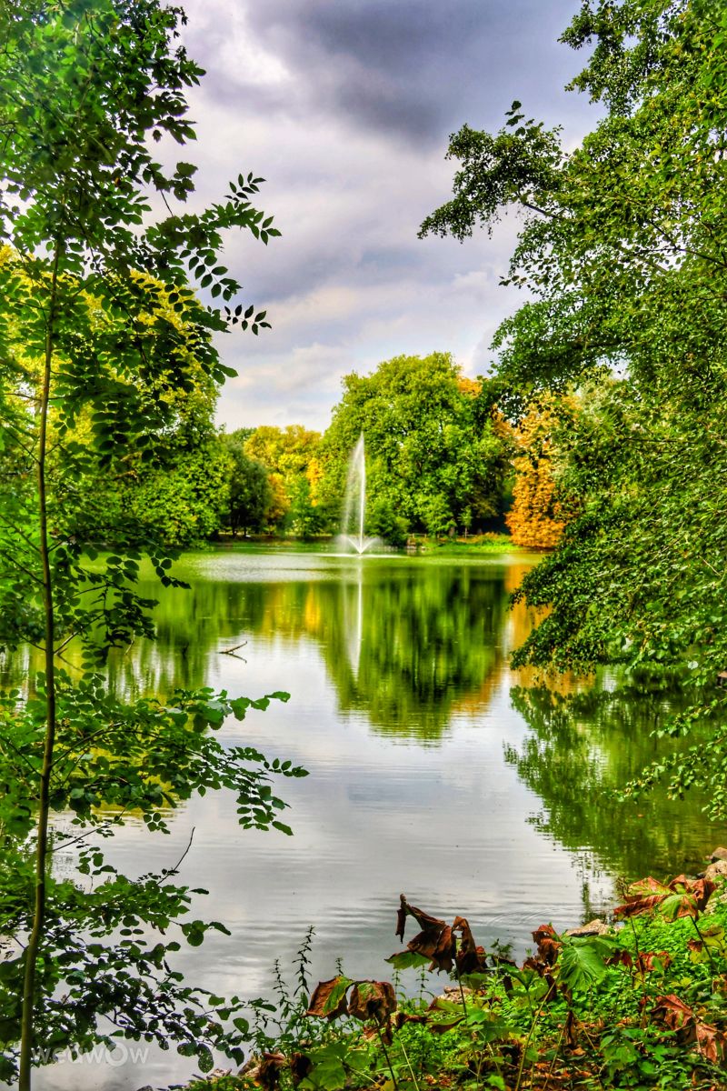 Weather Photos in Rombergpark-Lücklemberg. Weather forecasts with beautiful photos by Lotti5507