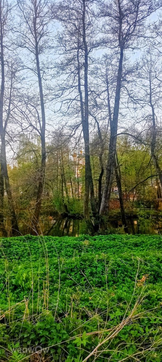 Moscow Oblastの天気写真. Ратиборの美しい写真による天気予報