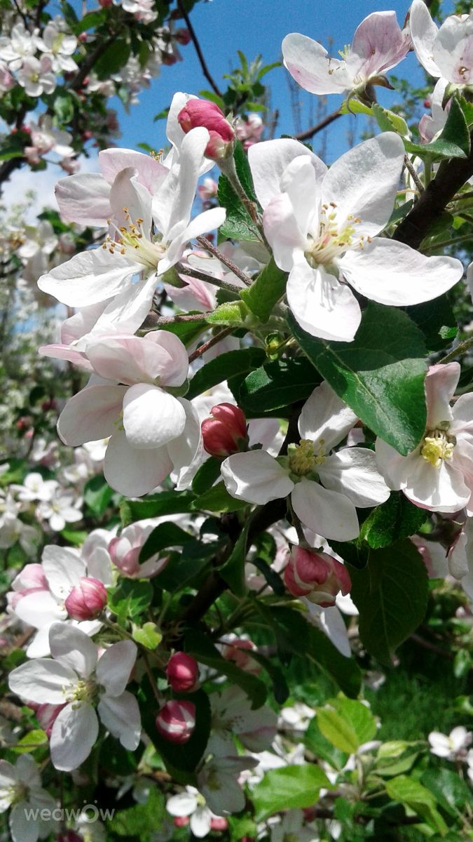 Photographer urashm, Weather Photos in Khmelnytskyi - Weawow