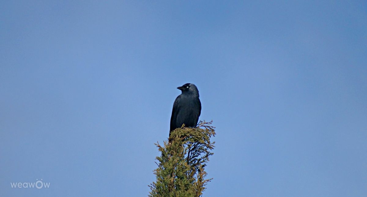 Weather Photos in Calvisson. Weather forecasts with beautiful photos by tony5636