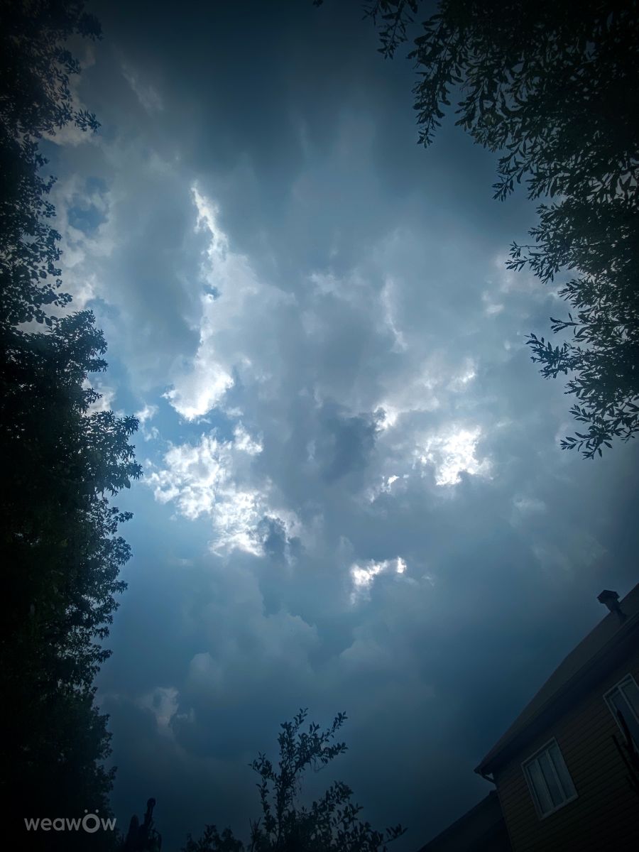 Weather Photos in le Plateau. Weather forecasts with beautiful photos by Lulu5523