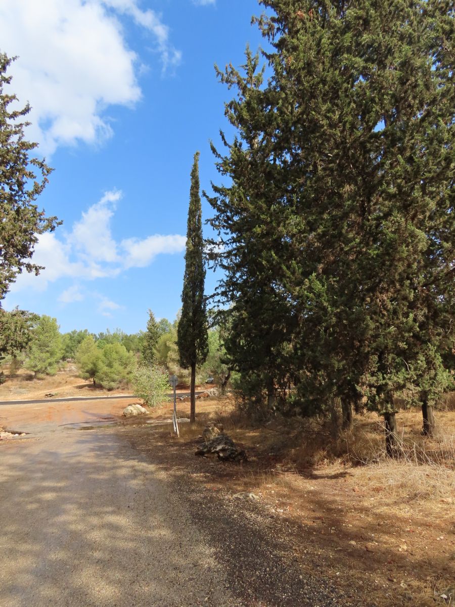 Photos météo à Israël. Prévisions météo avec de superbes photos de Sviatoslav