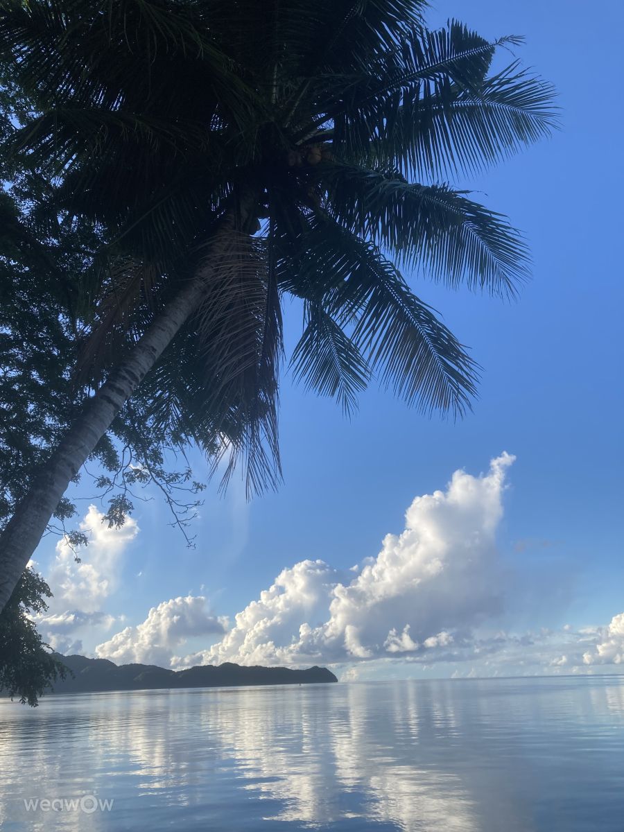 Weather Photos in Palau. Weather forecasts with beautiful photos by Belias