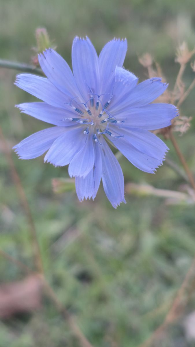 Wetter Photos Sinaia. Wettervorhersagen mit schönen Fotos von YanBog