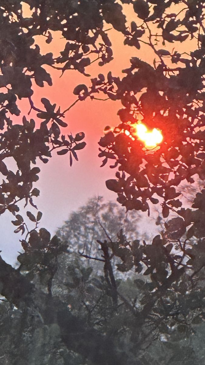 摄影师 RWDacy_SkyArt，奇科的天气照片 - Weawow