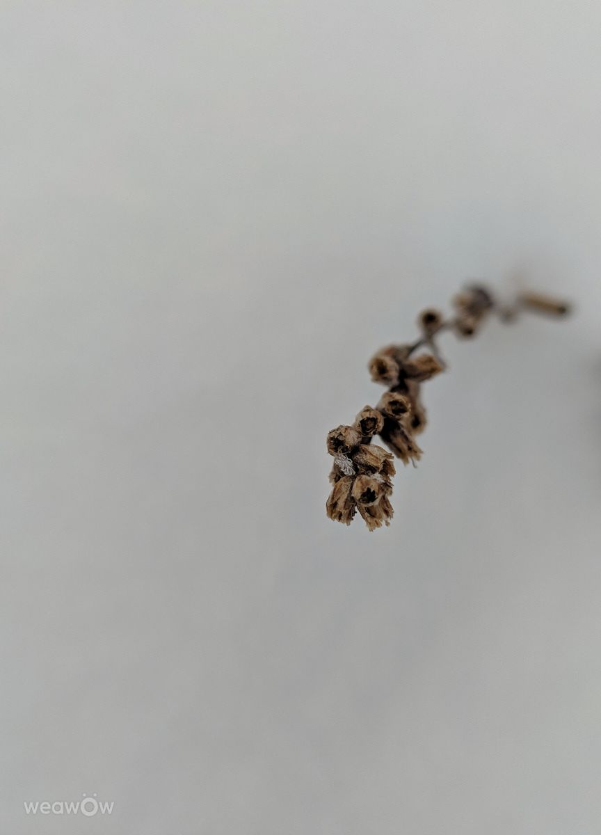 摄影师 aastrelkova，Sarapul Railway Station的天气照片 - Weawow