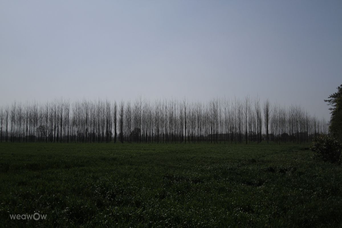 摄影师 Fotokhan，New Delhi的天气照片 - Weawow