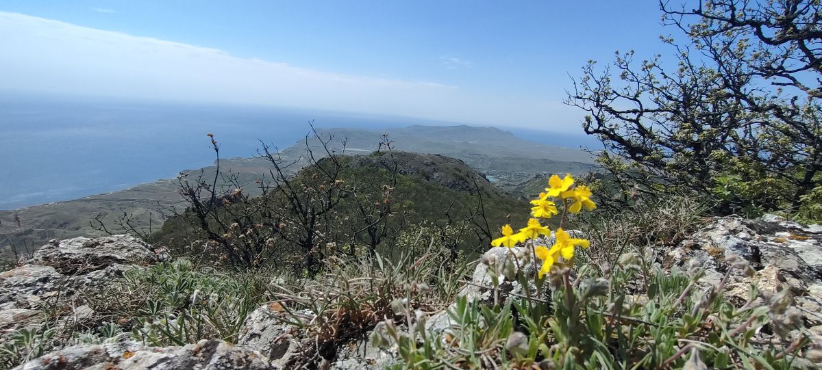 Weather Photos in Crimea. Weather forecasts with beautiful photos by Елен