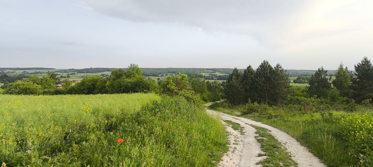 Hình ảnh Thời tiết ở Lublin Voivodeship. Dự báo thời tiết với những bức ảnh đẹp của Jacek-J