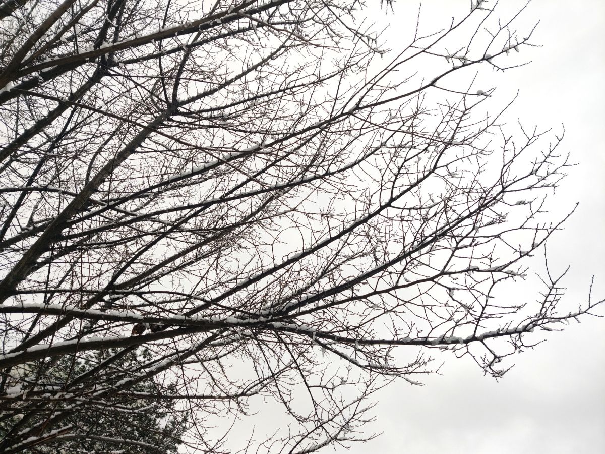 Фотограф Zorrra, Фотографии Погоды в Neukölln - Weawow