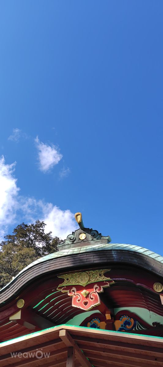 Photographer umemui, Weather Photos in Honshu - Weawow