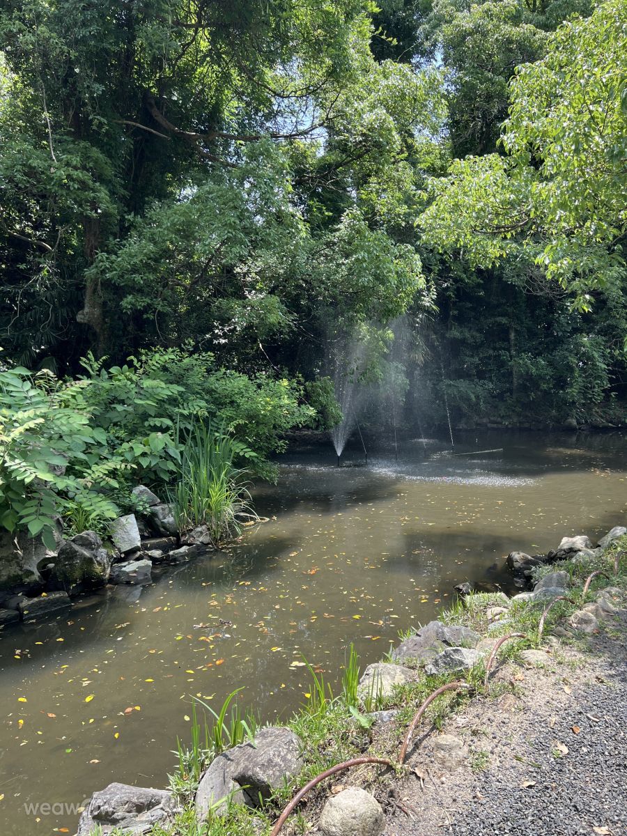 Weather Photos in Fukui. Weather forecasts with beautiful photos by Miya1