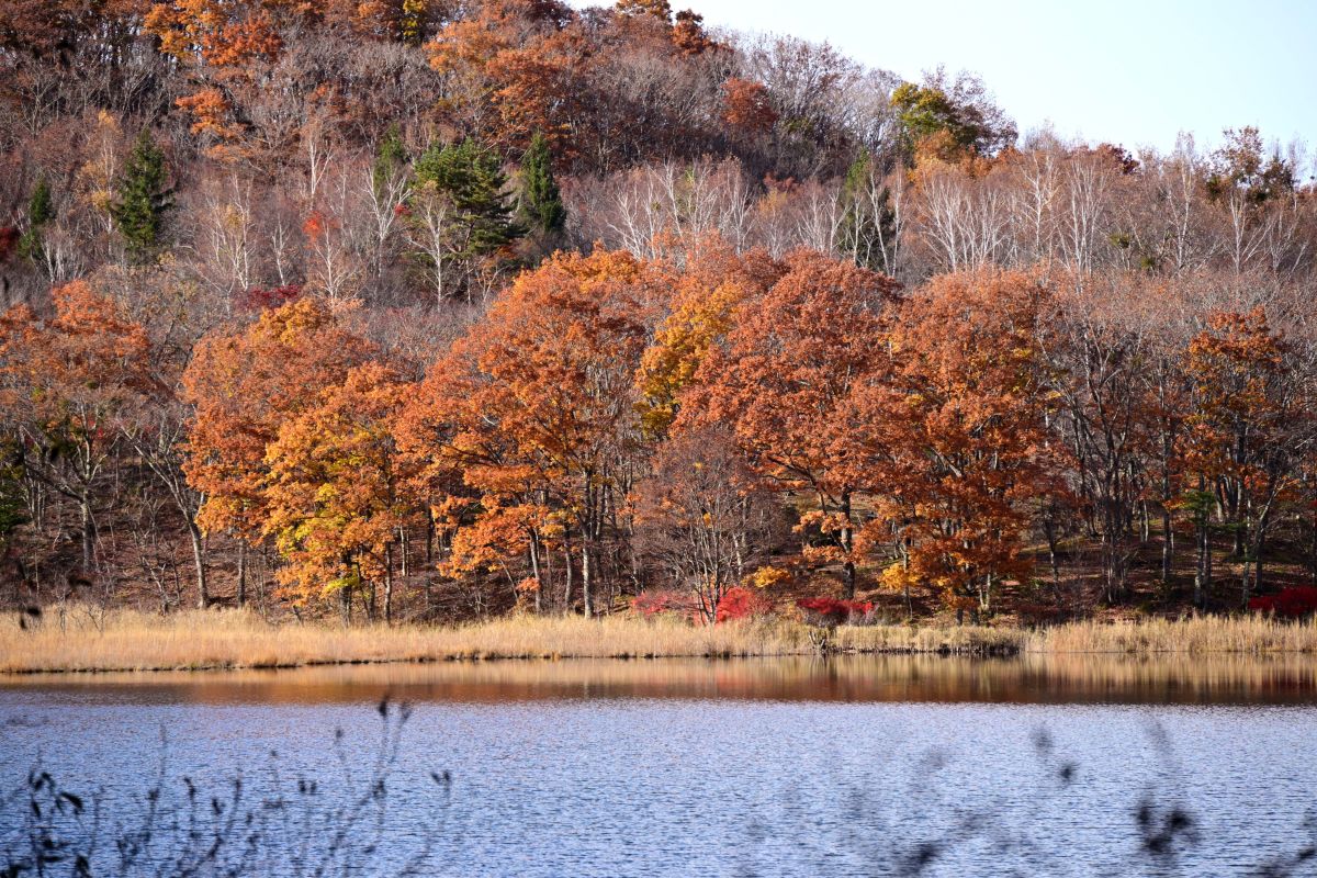 Photographer yoshy, Weather Photos in Minamiaizu - Weawow