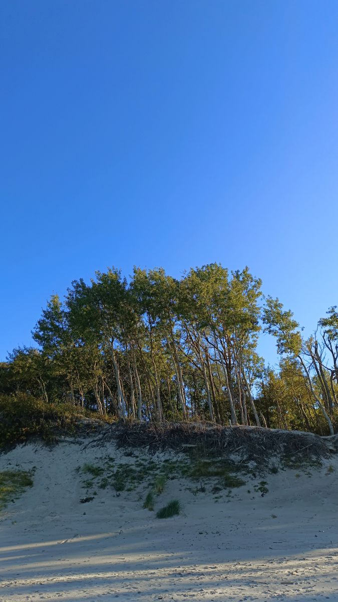 摄影师 Михаил Бондаренко，Gorod Svetlogorsk的天气照片 - Weawow