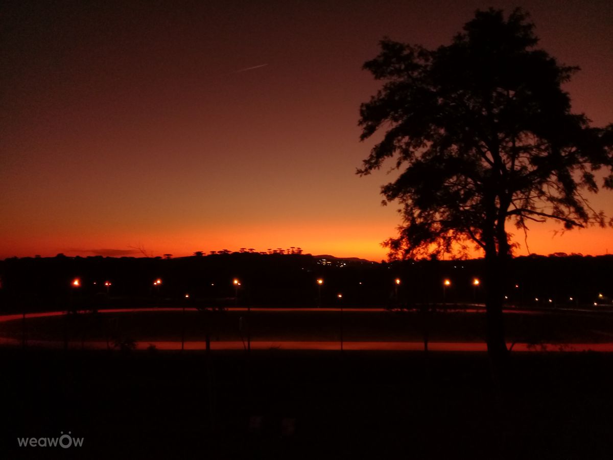 Newton Puppi Park ದ Night. GabrieleCristinah ಅವರ ಸುಂದರವಾದ ಫೋಟೋಗಳೊಂದಿಗೆ ಹವಾಮಾನ ಮುನ್ಸೂಚನೆಗಳು ಫೋಟೋಗಳು