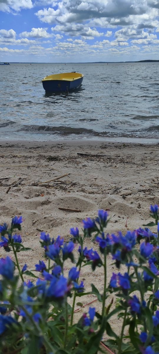 Weather Photos in Minsk. Weather forecasts with beautiful photos by Natallia