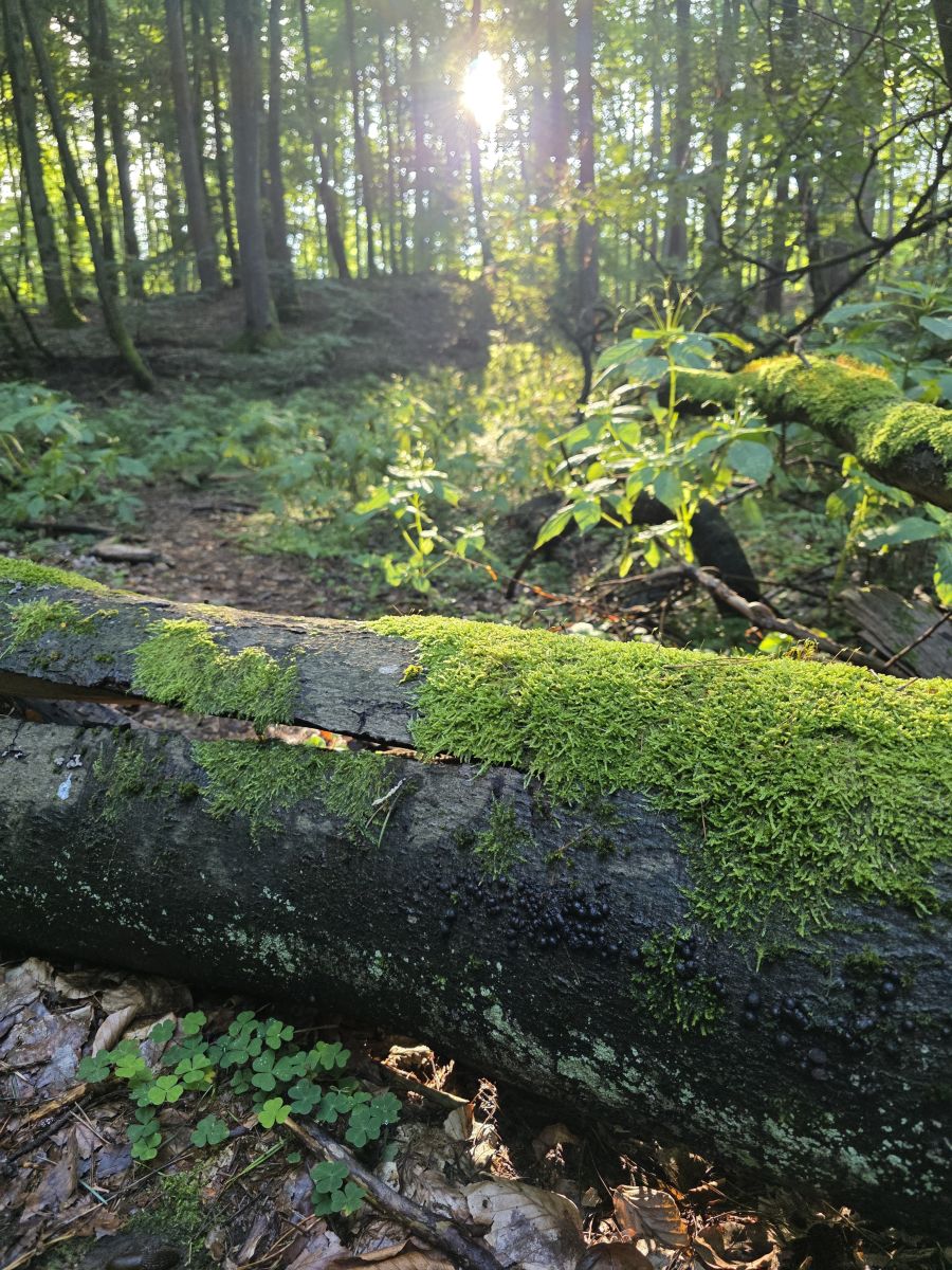 Karwinyの天気写真. xPrzybyLxの美しい写真による天気予報