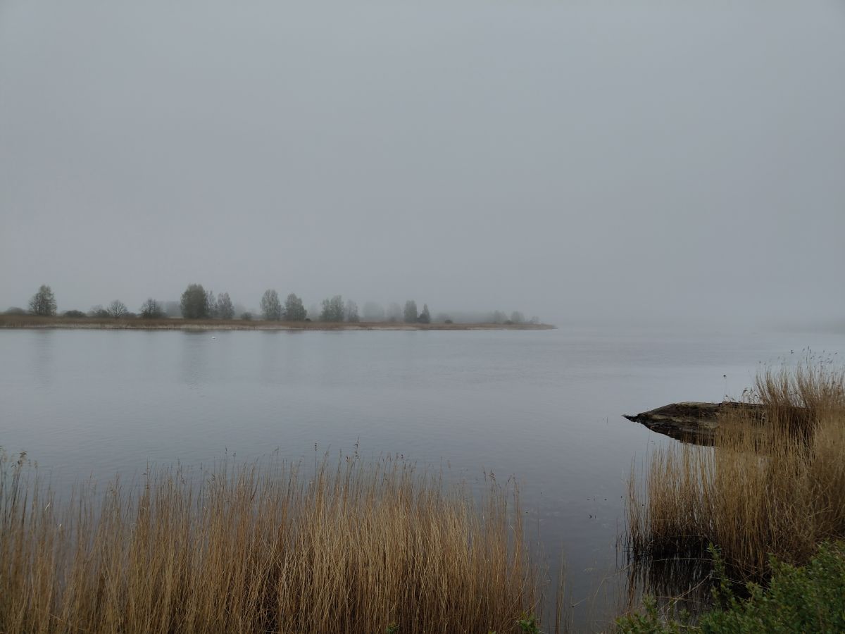 Photographer Olgert, Weather Photos in Dubulti - Weawow