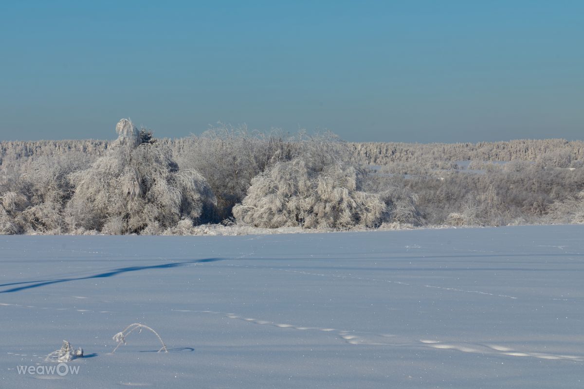 Weather Photos in Minsk. Weather forecasts with beautiful photos by Aleh_Narushevich