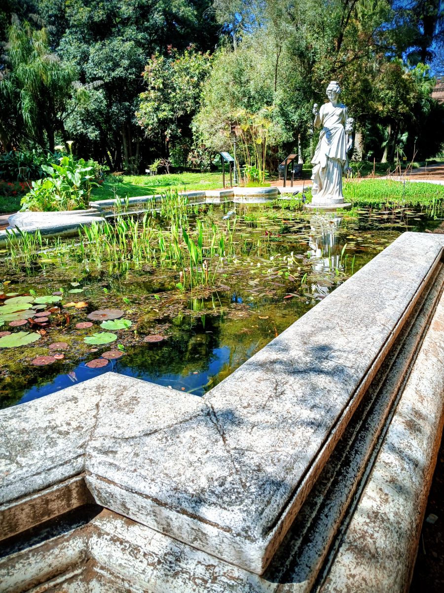 Photographer SEBASTIAN14, Weather Photos in Jardín Botánico Carlos Thays - Weawow