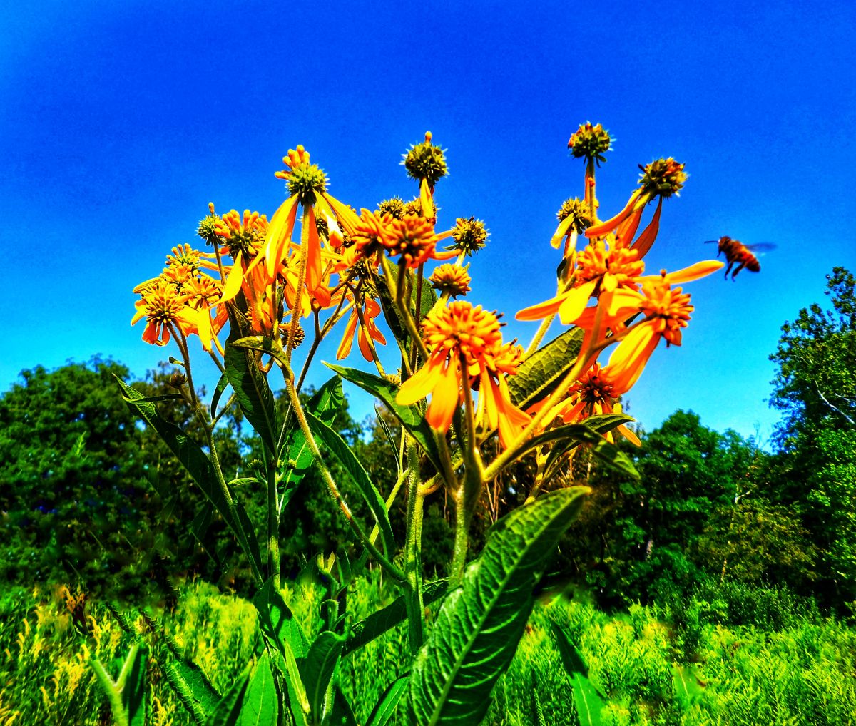 Photos météo à Greenfield. Prévisions météo avec de superbes photos de Traci-McD