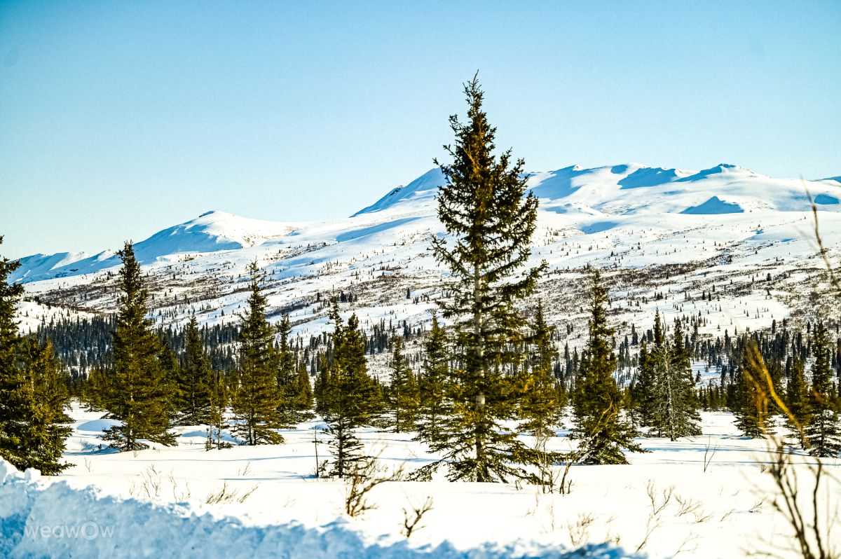 ночь на аляске фото. колышы аляска. дождь на аляске. бич на аляске. аляска сша.