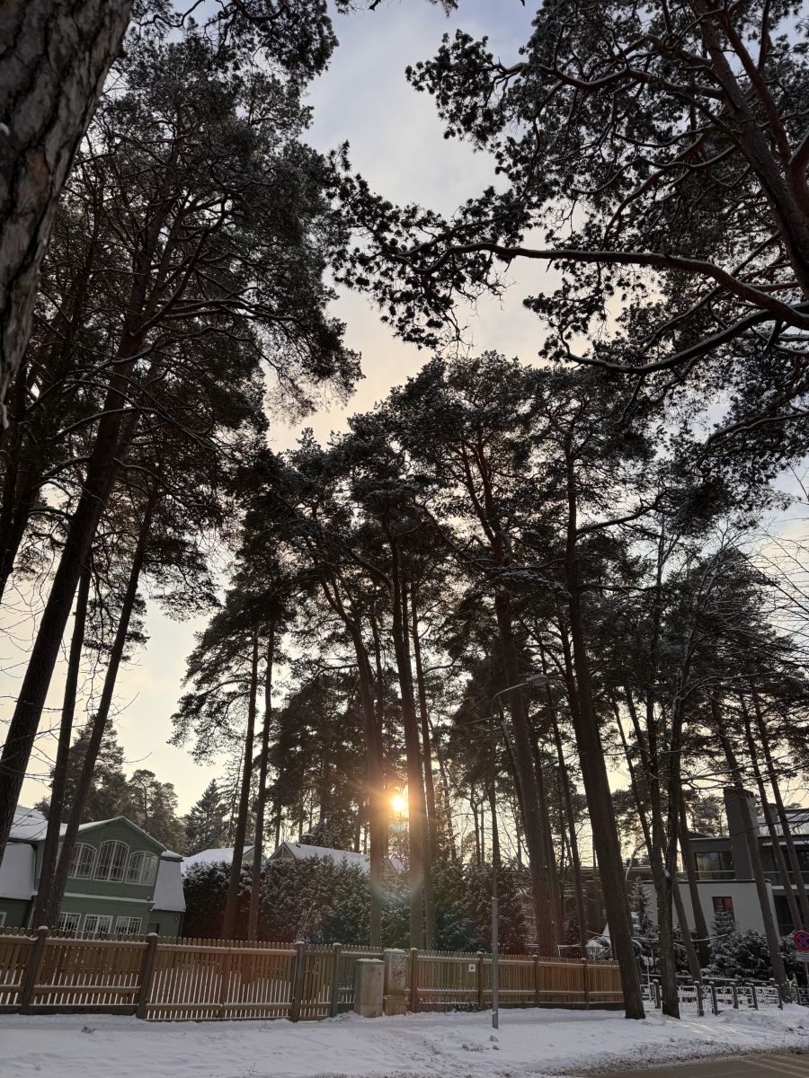 Fotos sobre el clima en Letonia. Pronósticos del tiempo con hermosas fotos de Svet-Lana